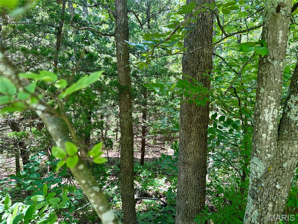 Railroad Addition - Land