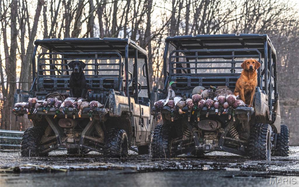 none - Farm