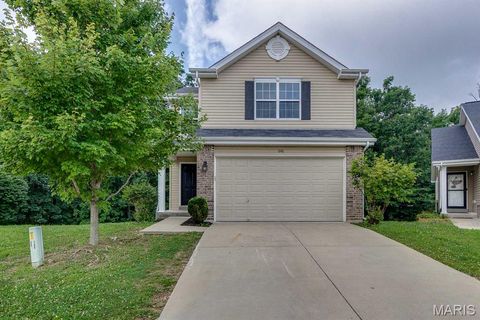 Photo of 646 Fair Bluff Drive, Wentzville, MO 63385 (MLS # 26045433)