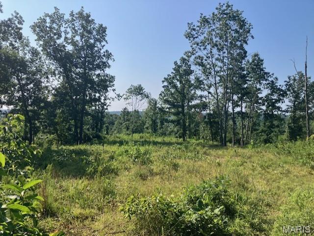Photo 1 of 3 — 131 Madison CR 410, Fredericktown, MO 63645