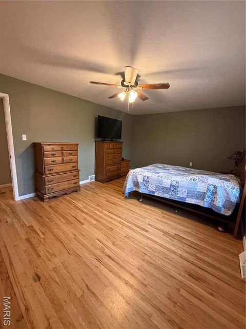 Tiny photo for 5 N Penn Street, Bowling Green, MO 63334 (MLS # 26013063)