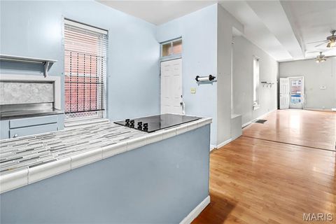 Tiny photo for 4540 Nebraska Avenue, St Louis, MO 63111 (MLS # 26001487)