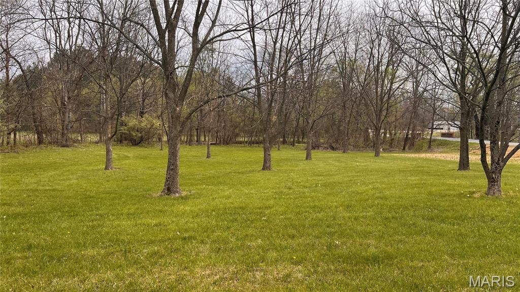 Photo of 4074 County Road 439, Jackson, MO 63755 (MLS # 26020131)