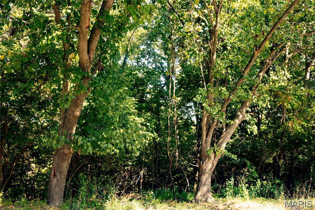 Barrington Woods 2 Lts 78 Thru 83 - Land