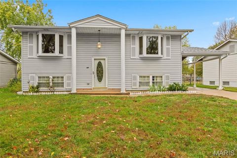 1273 Pequeno Lane Fenton MO 63026