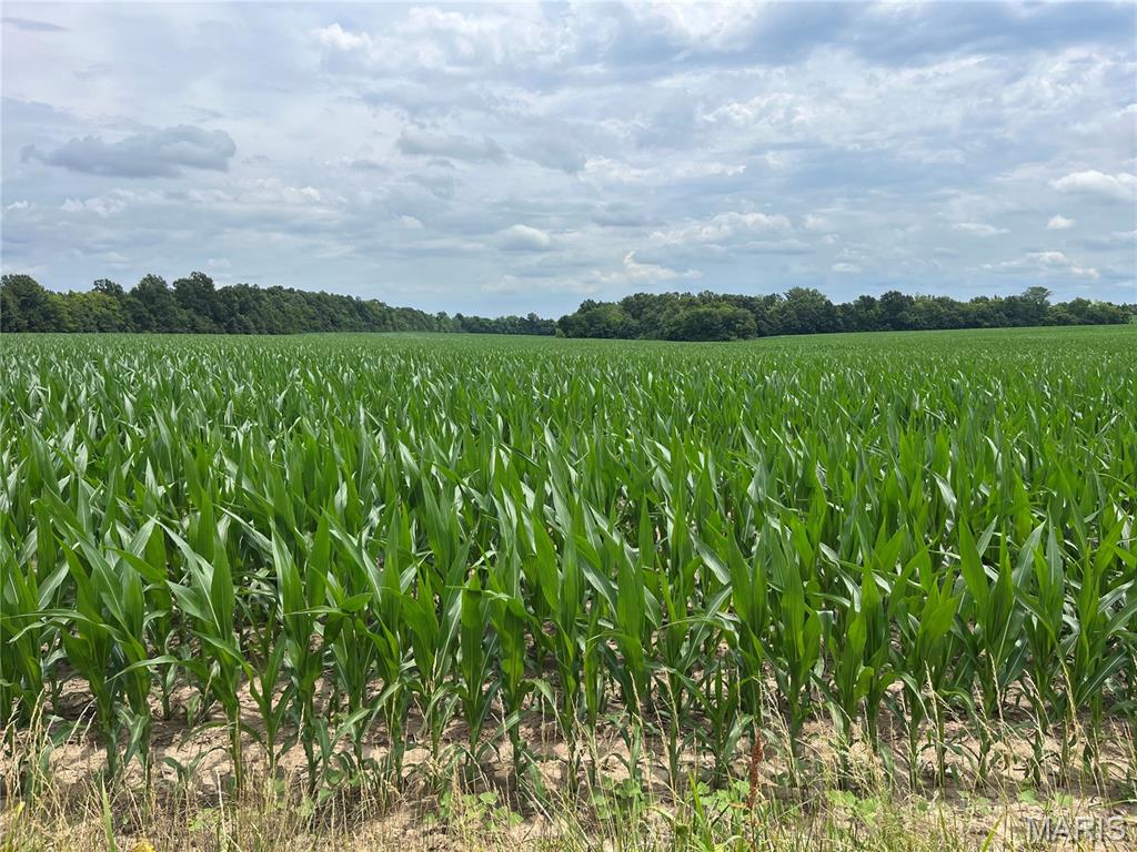 82.666 acres m/l on E Highway U