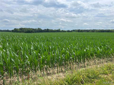 Tiny photo for 82 acres m/l on E Highway U, Troy, MO 63379 (MLS # 26040549)