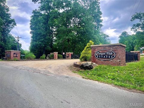 Photo of 0 Canyon Club Estates, Piedmont, MO 63957 (MLS # 26031437)