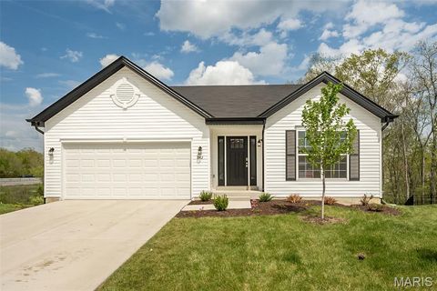 Photo of 342 Cumberland Court, Truesdale, MO 63380 (MLS # 26023665)