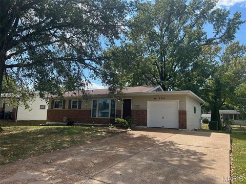 704 Holiday Avenue Hazelwood MO 63042