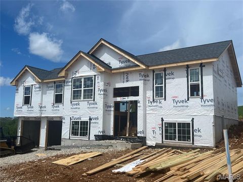 Photo of 179 Hank's Close #179 STB, Washington, MO 63090 (MLS # 25081311)