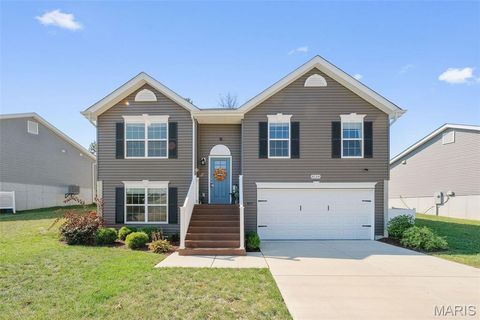8134 O'Brien Drive Cedar Hill MO 63106