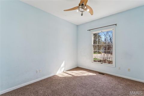 Tiny photo for 917 Oak Glen Manor Court, Kirkwood, MO 63122 (MLS # 26013158)