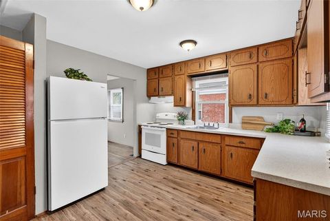 Tiny photo for 4421 Ashby Road, St Ann, MO 63074 (MLS # 26018588)