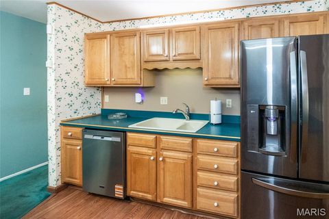 Tiny photo for 1204 Hobson Drive, Ferguson, MO 63135 (MLS # 26029272)