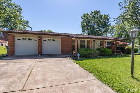 Photo of 1204 Hobson Drive, Ferguson, MO 63135 (MLS # 26029272)