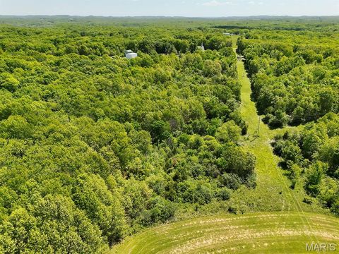 Tiny photo for 00 Highway NN, Bowling Green, MO 63334 (MLS # 26030522)