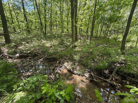 Tiny photo for 00 Highway NN, Bowling Green, MO 63334 (MLS # 26030522)