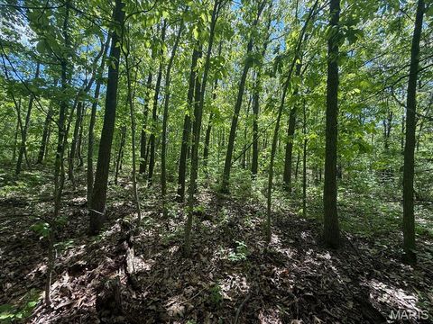 Tiny photo for 00 Highway NN, Bowling Green, MO 63334 (MLS # 26030522)
