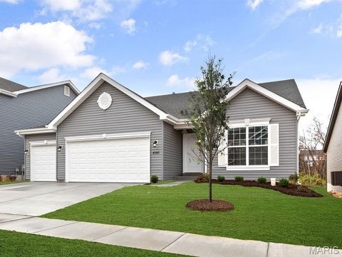 Photo of 549 Evening Primrose Drive, Wentzville, MO 63385 (MLS # 25082085)