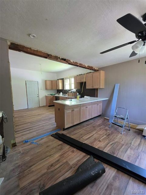 Tiny photo for 230 Low Street, Bonne Terre, MO 63628 (MLS # 26029686)