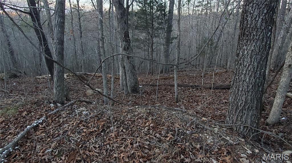 Photo of 00 County Road 714, Ellington, MO 63638 (MLS # 26003373)