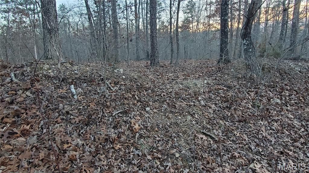 Photo of 00 County Road 714, Ellington, MO 63638 (MLS # 26003373)