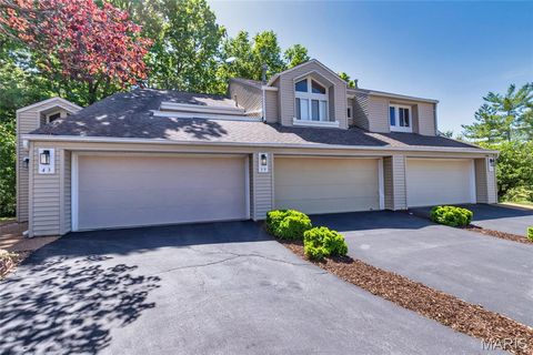 Photo of 39 Ridgeview Circle Court, Ballwin, MO 63021 (MLS # 26015067)
