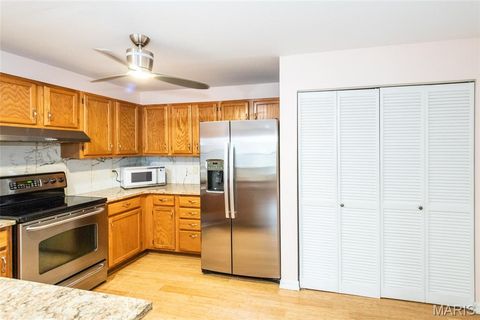 Tiny photo for 39 Ridgeview Circle Court, Ballwin, MO 63021 (MLS # 26015067)