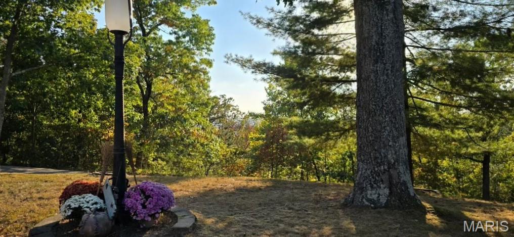 Wildwood, Missouri 63038, United States, 3 Bedrooms Bedrooms, ,2 BathroomsBathrooms,Residential,Active,232054