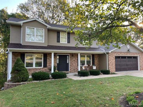 132 Blue Ridge Trace Festus MO 63028