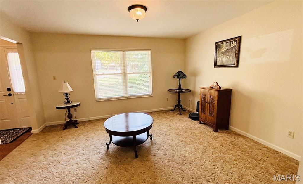 132 Blue Ridge Trace