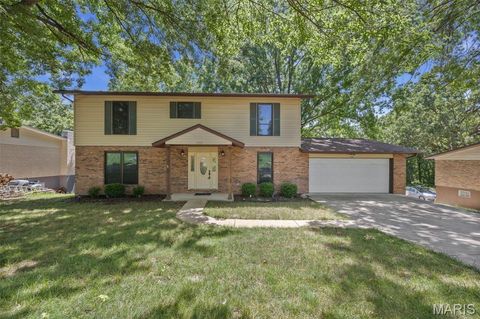 1928 Raintree Drive Imperial MO 63052