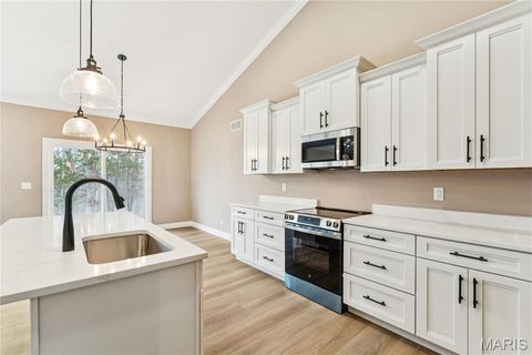 Tiny photo for 442 Shady Trail Drive, Troy, MO 63379 (MLS # 25024653)