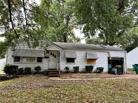 10519 Repose Drive Bellefontaine Nghbrs MO 63137