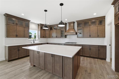 Tiny photo for 112 Cardinal Flower Drive, Wentzville, MO 63385 (MLS # 26065924)