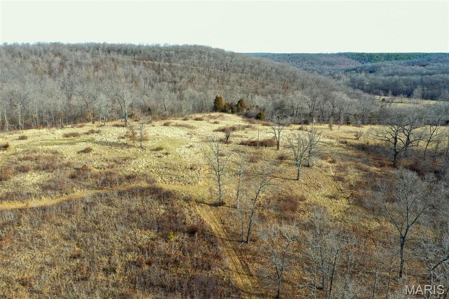 Tucked away off Hopkins Road just off Highway Y, this farm is set up for someone looking to enjoy the outdoors and chase big whitetails. The property is loaded with hunting potential, featuring thick cover, wildlife ponds, and the kind of habitat deer love to call home. A mix of overgrown fields and mostly hardwood timber creates excellent bedding and travel areas throughout the farm. Several food plots are already established, with plenty of additional spots ready to be expanded. The property also has a water well and electric in place at a beautiful build site overlooking the surrounding countryside making this property an ideal location for your future cabin. With strong populations of deer and turkey already using the farm, this property offers the kind of hunting opportunities that are getting harder to find. If you’ve been looking for a great hunting farm with a perfect place to build a cabin, this one deserves a look. Call today to schedule your private showing.