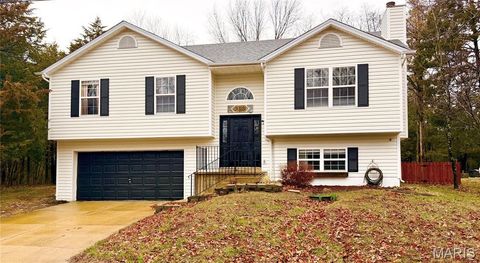 2309 W Squire Road Lake Sherwood MO 63357