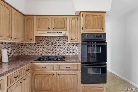 Tiny photo for 207 Scenic Drive, Elsberry, MO 63343 (MLS # 26015317)