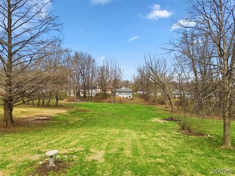Tiny photo for 207 Scenic Drive, Elsberry, MO 63343 (MLS # 26015317)