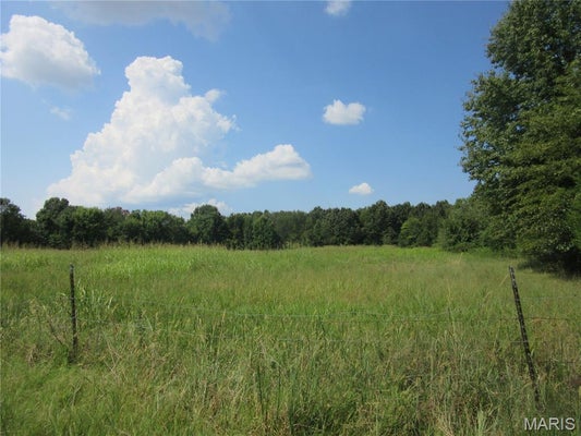 MONROE AVE, CAMPBELL, MO 63933 - Image 65d8d19e9ff94fafb94ad8b84f738758/913929167
