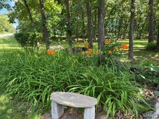 Tiny photo for 14987 Highway Uu, Bowling Green, MO 63334 (MLS # 26039384)