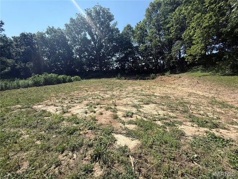 Tiny photo for 717 Lincoln Street, Elsberry, MO 63343 (MLS # 26045618)