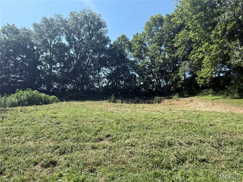 Tiny photo for 717 Lincoln Street, Elsberry, MO 63343 (MLS # 26045618)