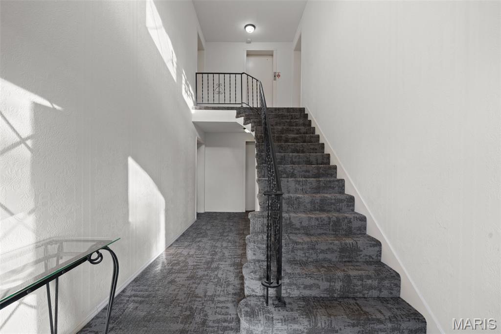 917 Claytonbrook Drive 3