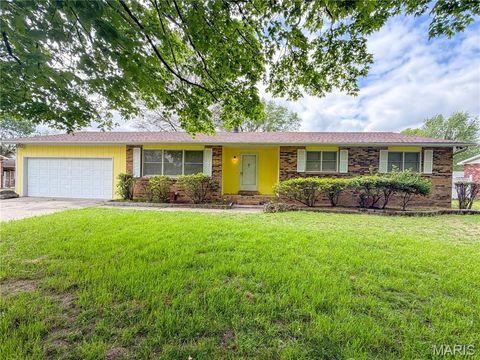 Photo of 903 Glenn Drive, Sikeston, MO 63801 (MLS # 26022559)