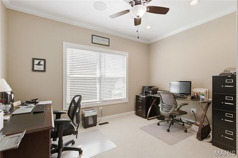 Tiny photo for 528 Elm Creek Drive, Wentzville, MO 63385 (MLS # 26025585)