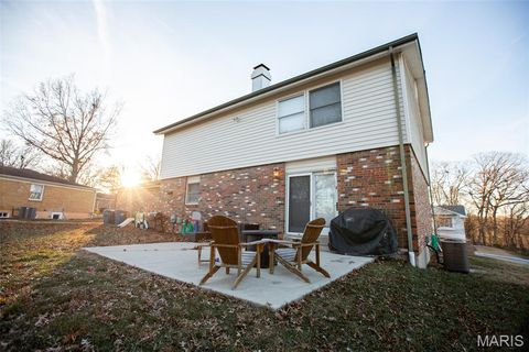 Tiny photo for 260 Monroe Mill Drive, Ballwin, MO 63011 (MLS # 25081327)