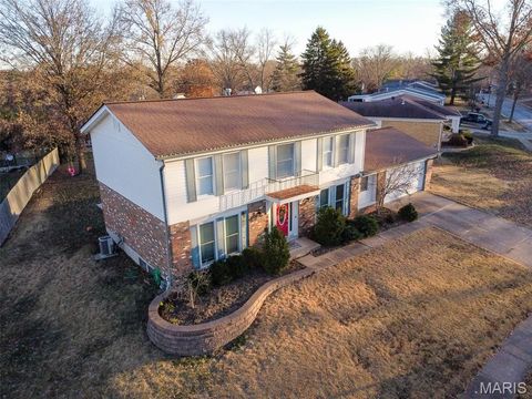 Photo of 260 Monroe Mill Drive, Ballwin, MO 63011 (MLS # 25081327)