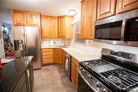 Tiny photo for 260 Monroe Mill Drive, Ballwin, MO 63011 (MLS # 25081327)